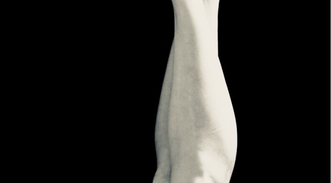 Ce qui précède l&rsquo;aurore…